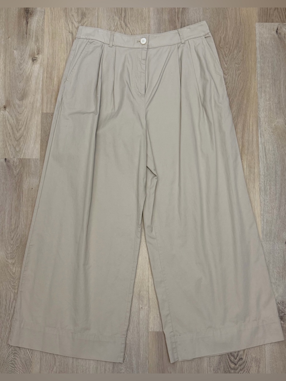 LOFT Tan Wide Leg Pleated Dress Pants